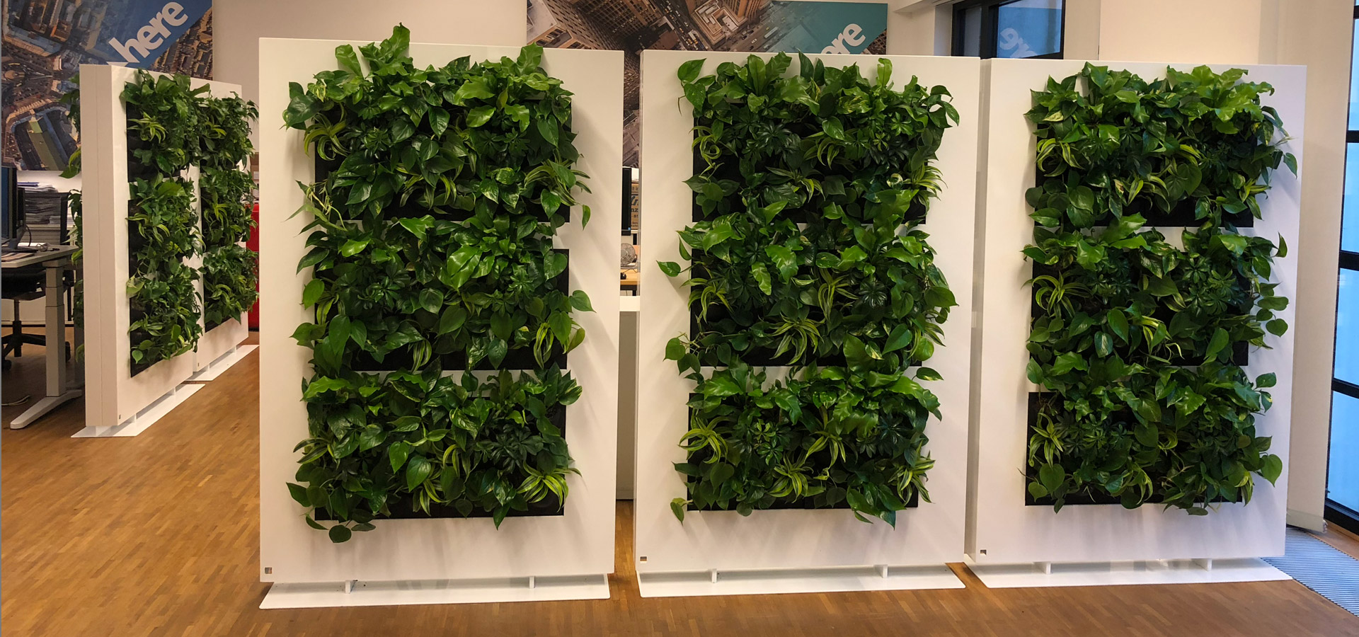 Gartenhof Küsters GmbH - Indoor-Wandbegrünungen