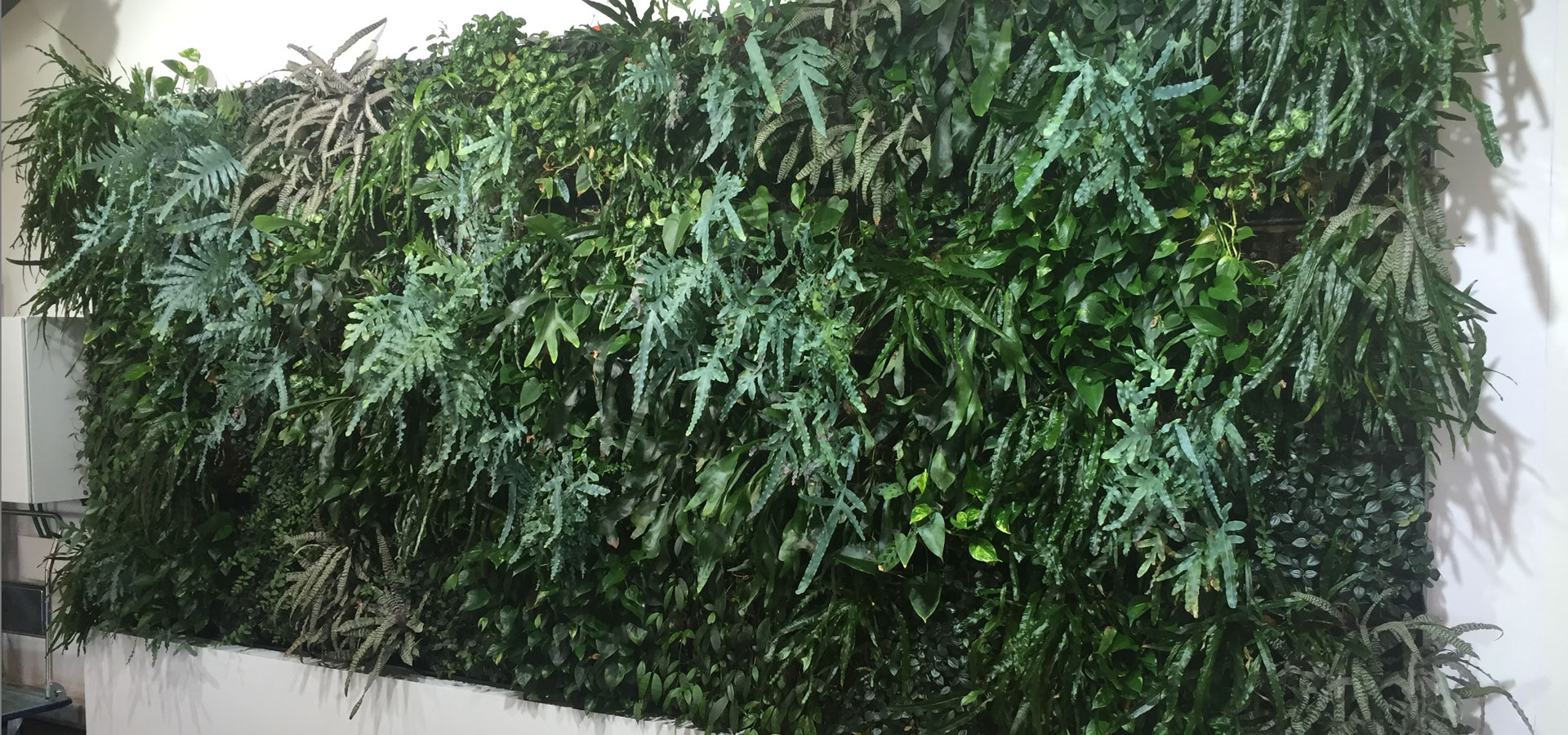 Gartenhof Küsters GmbH - Indoor-Wandbegrünungen