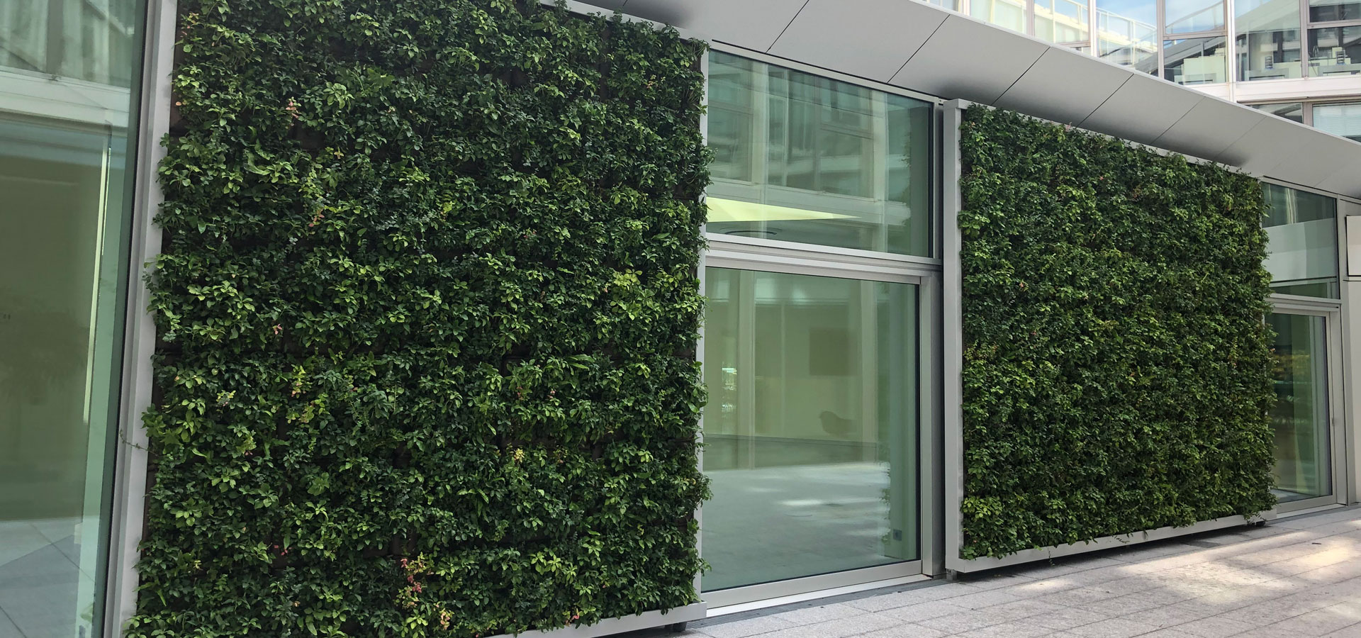 Gartenhof K�sters - Outdoor-Wandbegr�nungen