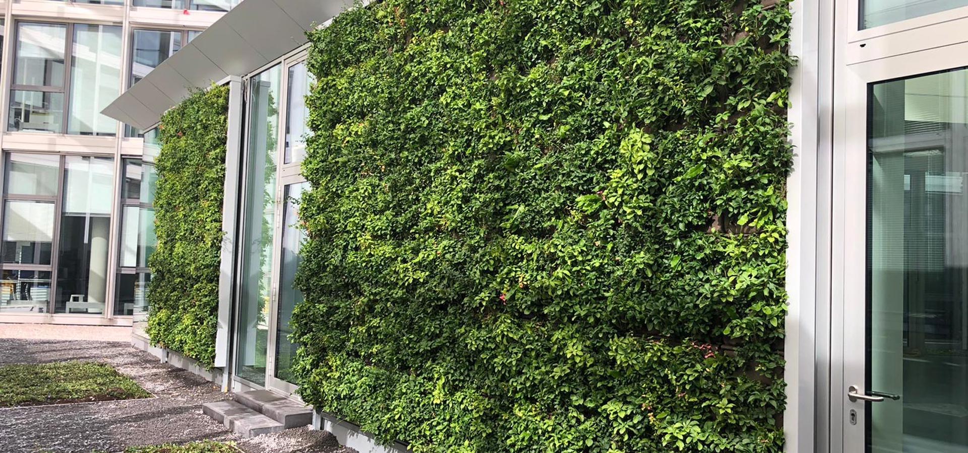 Gartenhof K�sters - Outdoor-Wandbegr�nungen